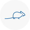 Mice Exterminators In Wanstead